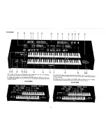 Preview for 5 page of Kawai KX1000 Owner'S Manual