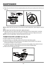 Preview for 31 page of LawnMaster NPTGSP2517A Operator'S Manual