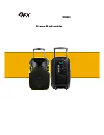 QFX PBX-6000 Manual Instruction preview