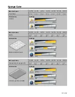 Preview for 191 page of Rational SelfCookingCenter Applications Manual