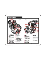 Preview for 6 page of Safety 1st alpha omega elite Owner'S Manual