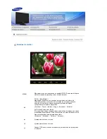 Preview for 35 page of Samsung SyncMaster 225MS Manual Del Usuario