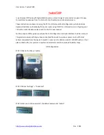 Preview for 1 page of Yealink T20P User Manual