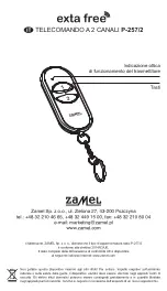 Preview for 19 page of Zamel P-257/2 Manual