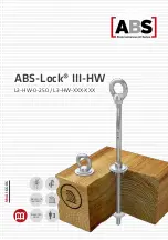 ABS Safety L3-HW-0-250 Manual предпросмотр