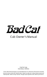 Bad Cat Cub Owner'S Manual preview