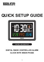 BALDR B0359STHR Quick Setup Manual preview