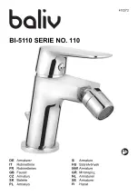 baliv 110 Series Manual preview