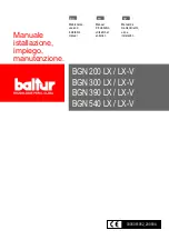 baltur BGN 200 LX Maintenance, Use And Installation Manual preview