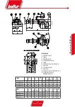 Предварительный просмотр 15 страницы baltur BGN 200 LX Maintenance, Use And Installation Manual