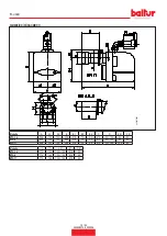 Preview for 12 page of baltur BTG 3,6 Instruction Manual For Installation, Use And Maintenance