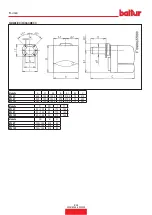 Preview for 10 page of baltur BTL 4P Instruction Manual For Installation, Use And Maintenance