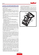 Preview for 52 page of baltur TBG 45 P Instruction Manual