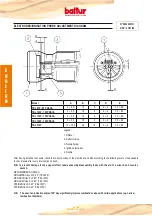 Preview for 18 page of baltur TBL 105P Instructions Manual