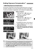 Предварительный просмотр 117 страницы Canon EOS Rebel T4i 18-135mm IS STM Lens Kit Instruction Manual