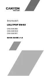 Canyon Lollypop SW-63 User Manual preview