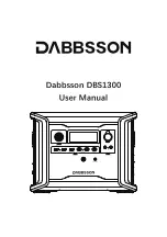 DABBSSON DBS1300 User Manual preview
