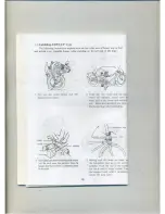 Предварительный просмотр 13 страницы DAHON P User Manual