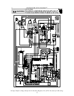 Preview for 13 page of Daikin DSG SERIES Wiring Diagram