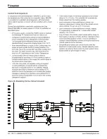 Preview for 42 page of Daikin Rebel DPS Series Installation And Maintenance Manual