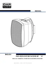 DAPAudio EVO 4T Manual предпросмотр