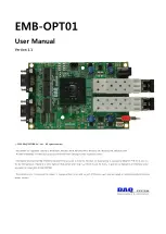 DAQ system EMB-OPT01 User Manual preview