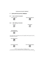 Preview for 37 page of Datalogic Lynx Instruction Manual