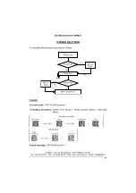 Preview for 115 page of Datalogic Lynx Instruction Manual