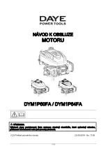 Предварительный просмотр 21 страницы DAYE DYM1P60FA Owner'S Manual