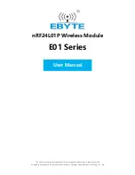 Ebyte E01 Series User Manual preview