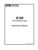 ECM G100 Instruction Manual предпросмотр