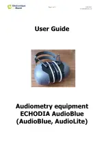 Électronique du Mazet AudioBlue User Manual предпросмотр