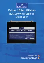 Preview for 1 page of Falcon FN-LB100-BT User Manual