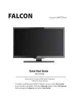 Falcon FN-TV19-S Quick Start Manual preview