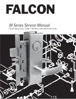 Preview for 1 page of Falcon M Series Service Manual