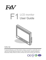 F&V F1 User Manual предпросмотр