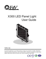 F&V X300 User Manual preview