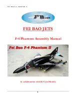 Предварительный просмотр 1 страницы Fei Bao F-4 Phantom II Assembly Manual