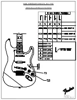Fender Eric Johnson Stratocaster Maple Function Manual preview