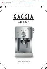 Gaggia Milano VIVA DELUXE Manual preview