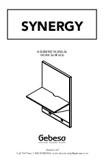Gebesa SYNERGY Assembly Manual preview
