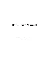 H.264 DVR User Manual предпросмотр