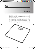 ICA XY-3169 Manual предпросмотр