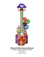 Ice Whack N Win Service Manual preview