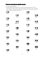 Предварительный просмотр 87 страницы iDiPOS MS3390 User Manual