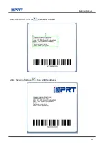 Preview for 84 page of iDPRT iT4B User Manual