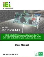 IEI Technology PCIE-G41A2 User Manual preview