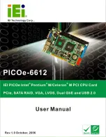 IEI Technology PICOe-6612 Series User Manual preview