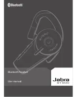 Preview for 1 page of Jabra BT 800 User Manual