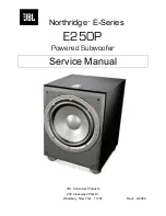 JBL E250P Service Manual предпросмотр